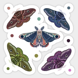 Copia de Moth sticker set 2 Sticker